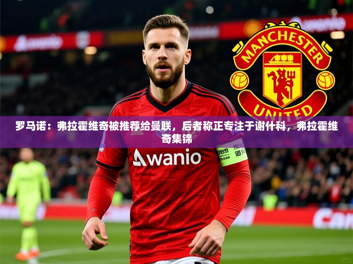 2025开云体育官网入口罗马诺：弗拉霍维奇被推荐给曼联，后者称正专注于谢什科，弗拉霍维奇集锦  第4张